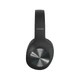Наушники с микрофоном Panasonic RB-HX220BEE-K Black - изображение 2