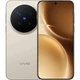 Смартфон Vivo X300 Pro 16/512GB Dune Brown Europe - изображение 1