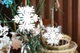 Декоративная Снежинка Christmas Snowflake 3Д Печать Белый 10 См - изображение 2