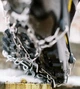 Льодоступи Tribe Ice Black - зображення 9
