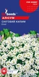 Насіння GL Seeds Аліссума Сніговий килим 0.1 г - зображення 2