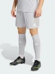 Спортивные шорты мужские Adidas Entrada26 JZ2515 2XL Серые (4068814074613) - изображение 1
