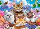 Пазл Castorland puzzle Кошенята у квітах, 500 ел. ( B-53513) - зображення 2
