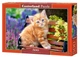 Пазл Castorland puzzle Рыжий котенок, 500 эл. ( B-52240) - изображение 1