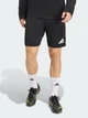 Спортивные шорты мужские Adidas Entrada 26 Training KD0985 S Черные (4068804867133) - изображение 1