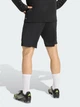 Спортивные шорты мужские Adidas Entrada 26 Training KD0985 S Черные (4068804867133) - изображение 2