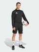 Спортивные шорты мужские Adidas Entrada 26 Training KD0985 S Черные (4068804867133) - изображение 3