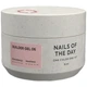 NAILSOFTHEDAY Builder Gel 06, 15 мл - изображение 1