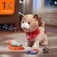 Интерактивная мягкая игрушка Tumama Кот, ходящий и мяукающий, с аксессуарами Бежевый 70391 - изображение 2