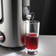 Соковыжималка Gorenje JC 900 E (JC900E) - изображение 6