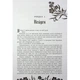 Книга Безсила - Лорен Робертс Readberry (9786170991065) - зображення 11
