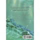 Комікс Китова зірка. Русалонька з Кьонсона. Том 2 - На Юнхі Varvar Publishing (9786170999153) - зображення 8
