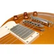 Электрогитара Cort CR200 Gold Top (CR200 GT) - изображение 4