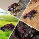 Игрушка автомобиль для трюков Berserk Stunt Car JC03PRO с шестью колесами дрифт для детей от 8 лет с пультом управления - изображение 7