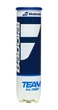 Мячи теннисные Babolat Team All Court X4 - изображение 1