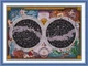 Набор для вышивания по нанесённой на канву схеме “Nighttime Star Chart”.AIDA 14CT printed , 73*54 см. - изображение 1