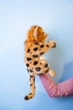 М'яка іграшка на руку Hansa серія Puppet Гепард 32х23 см - изображение 6