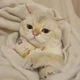 Игрушка для котов GiGwi Catch and scratch Зайчик с плетеным мячиком и колокольчиком, полиэстер, 10 см (2344) - изображение 5