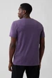 Футболка Gap 50(L) Фиолетовый (134353) - изображение 2