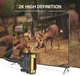 Двухканальный цифровой видеокабель UGREEN DVI-D 24+1 для DVD, ноутбуков, HDTV и проекторов 3 м Black (DV101) - изображение 3