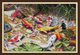 Набор для вышивания по нанесённой на канву схеме "Nine carps". AIDA 14CT printed 41*29 см - изображение 1