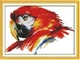 Набор для вышивания по нанесённой на канву схеме "Scarlet macaw (2) ". AIDA 14CT printed 28*19 см - изображение 1