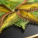 Набір для творчості String Art "Сонячна квітка" Ø 30 см CreateMe - изображение 2