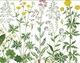 Набор для вышивания по нанесённой на канву схеме "Flowers on the Meadow". AIDA 14CT printed 85*36 см - изображение 3