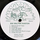 Big Walter Horton And Carey Bell - Same 2019 (Re-Issue, 180 Grams) Deagostini/Italy Mint Виниловая пластинка (art.247240) - изображение 2