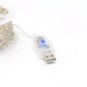 Гирлянда LED 200м с пультом теплый белый цвет питания от USB для украшения елки - изображение 3
