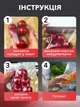 Пакеты для вакууматора ребристые пищевые набор 60 шт VMHouse пленка для вакуумного упаковщика запаивание и вакуумирование сухих и влажных продуктов 15×20 см 17×25 см и 20×30 см прозрачные (0201-0011) - изображение 9