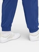 Спортивные штаны мужские Adidas Essentials JD1825 M Синие (4067902814865) - изображение 5