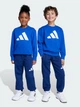 Детский спортивный костюм (свитшот + штаны) Adidas Essentials JM0881 128 см Team Royal Blue (4068808288248) - изображение 2