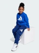 Детский спортивный костюм (свитшот + штаны) Adidas Essentials JM0881 128 см Team Royal Blue (4068808288248) - изображение 4