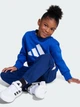 Детский спортивный костюм (свитшот + штаны) Adidas Essentials JM0881 128 см Team Royal Blue (4068808288248) - изображение 5