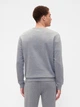 Спортивный костюм мужской утепленный GAP 355581199 L Серый (1159854795) - изображение 5