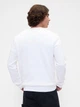 Свитшот на флисе мужской GAP 577242797 L Белый (1159848563) - изображение 2