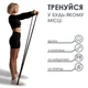 Набор резиновых петель EVAPOL 2-39 кг 4 шт, резина для подтягиваний, фитнеса и тренировок - изображение 6