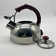 Чайник Edenberg EB-3560 3.5 л со свистком и красной ручкой - изображение 3
