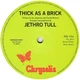 Jethro Tull - Thick As A Brick 1972/2015 (0825646139507, 180 Gm.) Chrysalis/EU Mint Виниловая пластинка (art.244971) - изображение 3