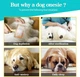 Комбинезон для восстановления собак Derby Pet Recovery Suite, Turquoise, S - изображение 7