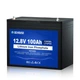 Аккумулятор DC House LFP 12-100 LiFePO4 Bluetooth - LiFePO4 на 12 В 100 ампер-часов - изображение 2