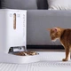 Смарт кормушка Petkit Yumshare Dual-Hopper P591, с камерой, 5 л, Wi-Fi, для сухого корма - изображение 5