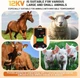 Электрический энергайзер для ограждения 15 км, 2 Дж / 12 кВ, питание AC/12V/солнечная панель - изображение 3