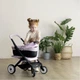 Коляска для кукол Smoby Maxi-Cosi 3 в 1. розовая жемчужина со съемной люлькой, 55 x 39 x 64 см, 3+ (7600253121) (335608) - изображение 3