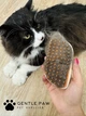 Паровая щетка массажер спрей 3 в 1 GENTLE PAW SPRAY MASSAGE BRUSH для вычесывания собак и кошек с паровым распылителем - изображение 3