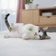 Іграшка для котів, котенят пружинка, спіраль 5 см - зображення 4