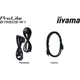 Монитор 19" IIYAMA ProLite B1980S-W1 TN+film 1280x1024 75 Гц 250 кд/м² White - изображение 5