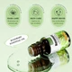 Ефірна олія з розмарином SADOER Rosemary Multipurpose Plant Essential oil, 10 мл - изображение 3