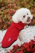 Жилет Noble Pet Softshell Ostin O4149/L Red - изображение 8